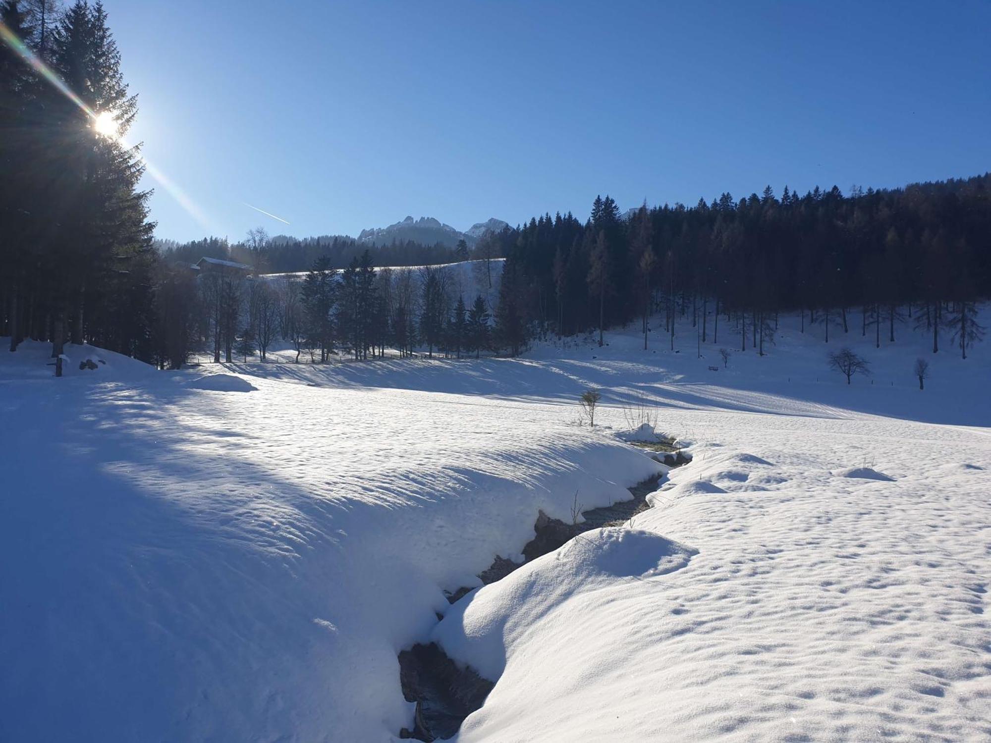Mountain Residence Riesgut Werfen Dış mekan fotoğraf